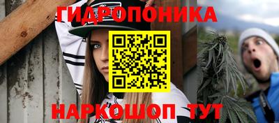 jwh Пенза